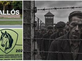 Nemorálny unikát: Pred areálom bývalého koncentračného tábora v Tomášikove je pamätník na koňa