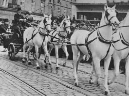 Voľba prvého slovenského prezidenta (26. 10. 1939)