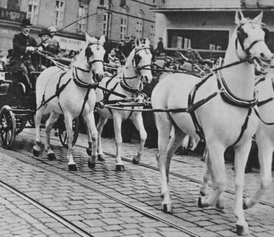 Voľba prvého slovenského prezidenta (26. 10. 1939)